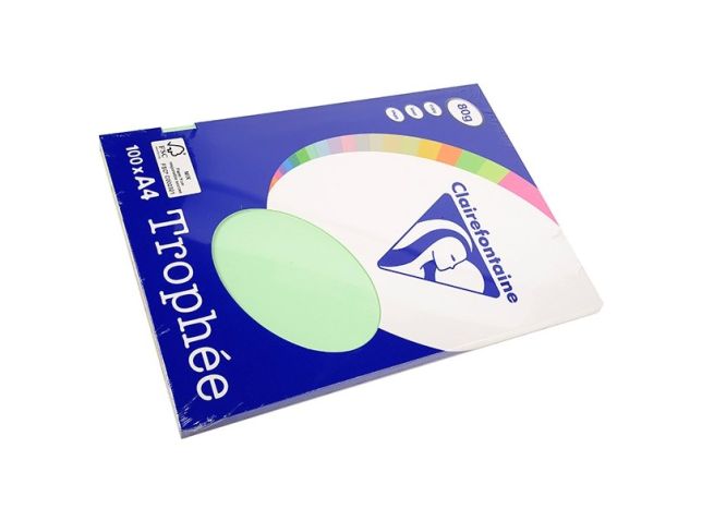 Papier A4 80g grünpk100v