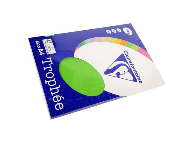 Papier A4 80g grasgrün pk100 v