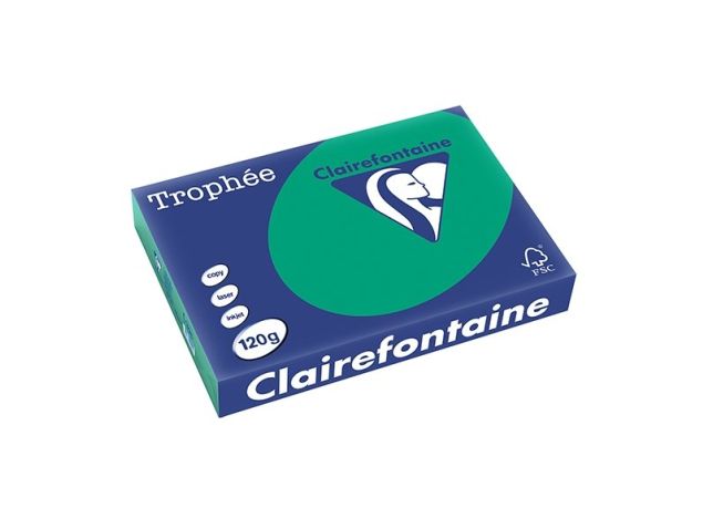 Papier A4 120g Tannengrün/Packung 250