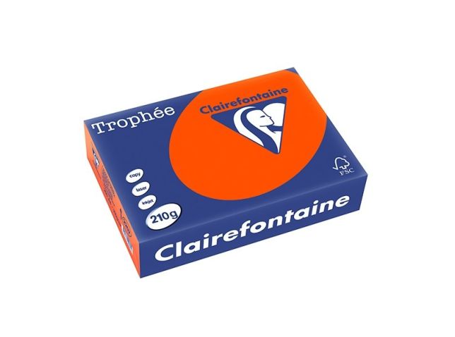 Trophäe Buntpapier A4 210 g/m² Kardinalrot