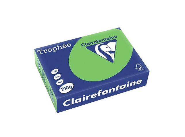 A4-Papier 210g grasgrün/pk250v
