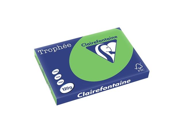 Papier A3 120g grasgrün/pk250v