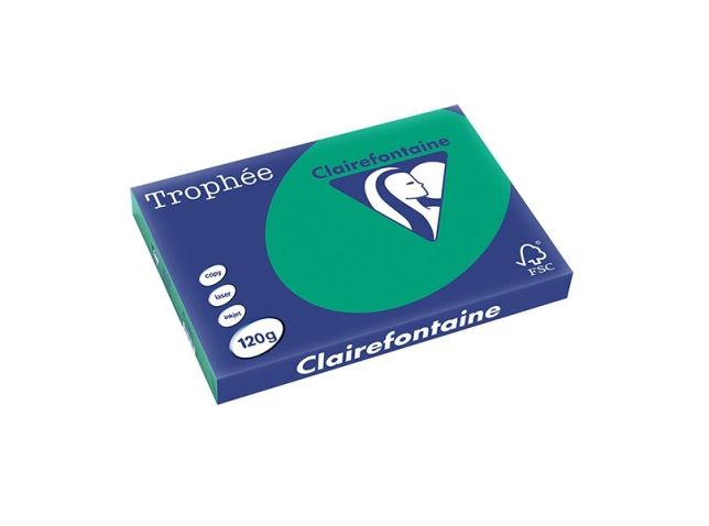Trophäe Buntpapier A3 120 g/m² Fichtengrün