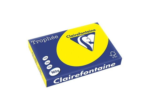 Papier A3 160g Sonnenblumengelb/pk250v