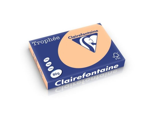 Papier A3 80g Aprikose/Packung 500