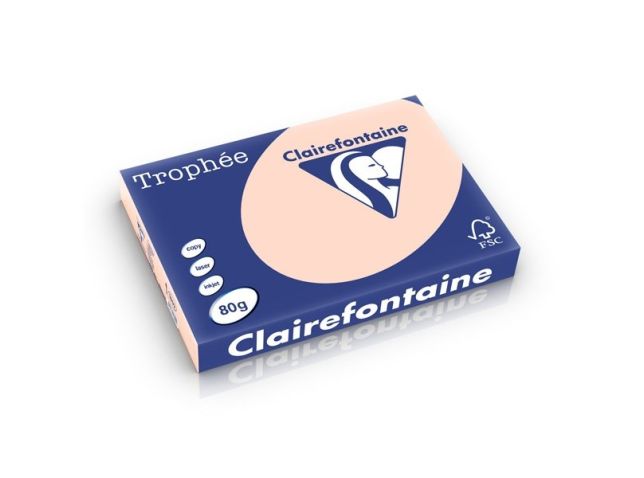 Papier A3 80g Lachs/Packung 500