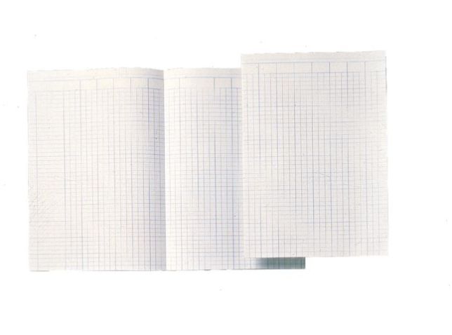 Buchhaltungspapier Doppel A4 14 Spalten 100 Blatt