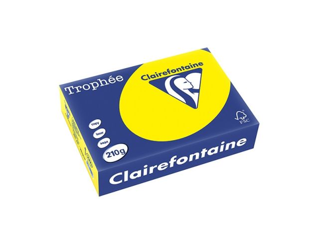 Trophäe Buntpapier A4 210 g/m² Sonnenblumengelb
