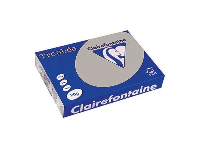 Trophäe Buntpapier A4 80 g/m² Hellgrau