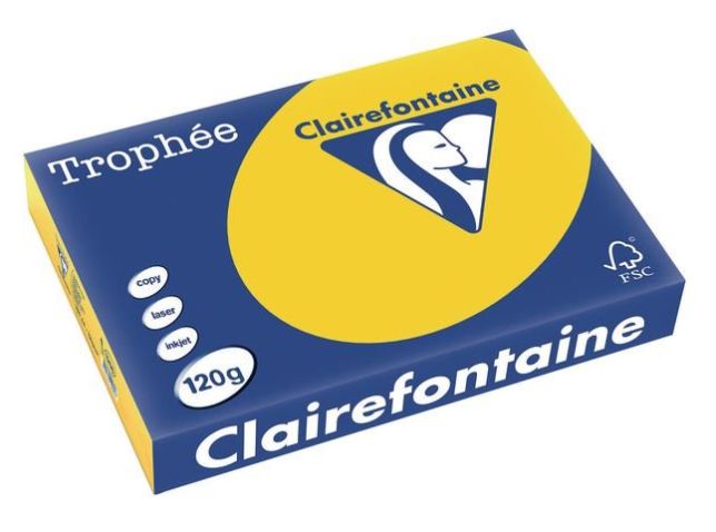 Trophée Gekleurd Papier A4 120 g/m² Goudgeel