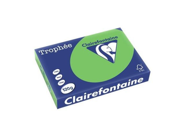 Trophée A4 120 g/m² Mehrzweck-Farbpapier in intensivem Grün