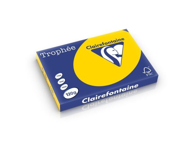 Trophäe Buntpapier A3 120 g/m² Goldgelb