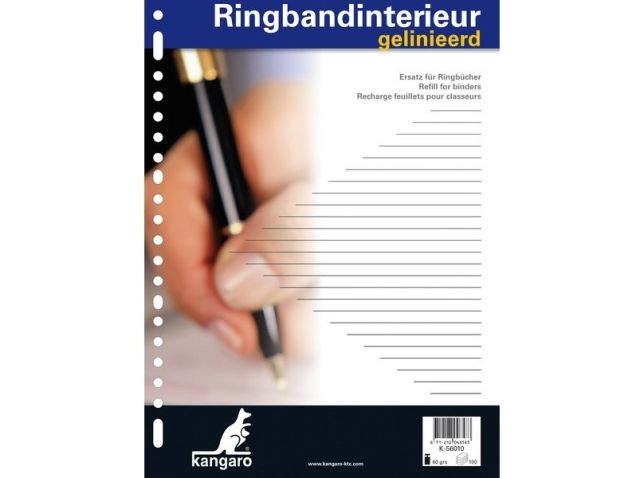 Interieurpapier A4 23R Linie